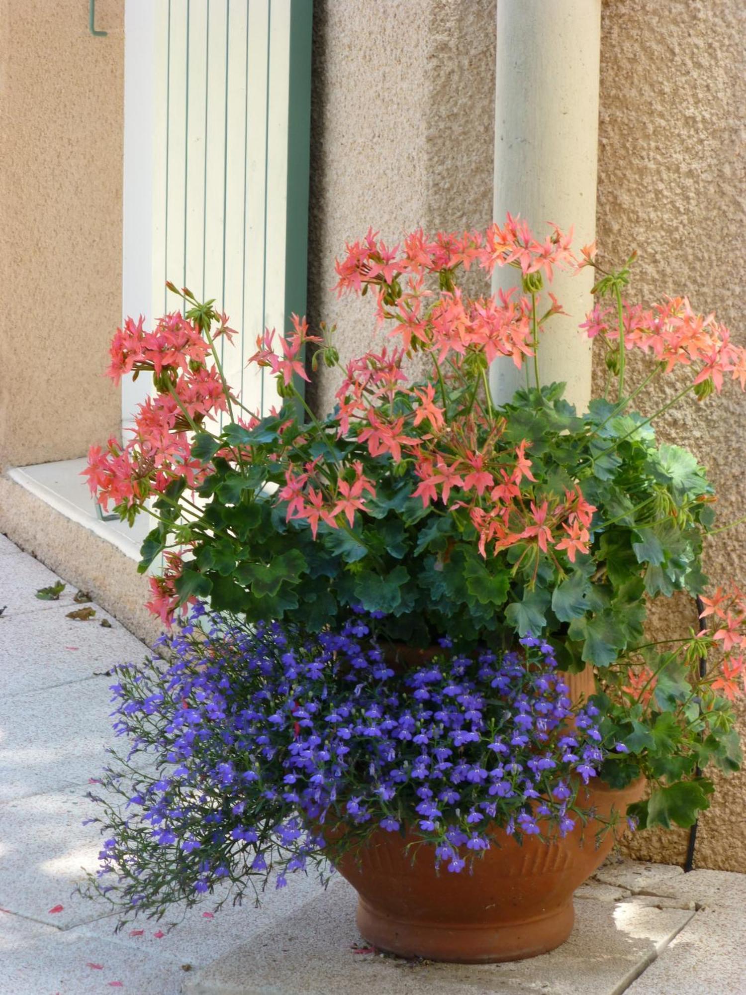 Le Relais Des Malettes Chambres D'Hotes B&B Francheville  Экстерьер фото